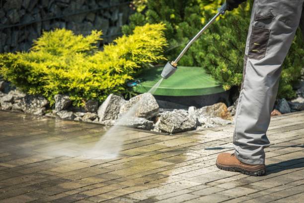 Best Pre-Holiday Cleaning  in Scotchtown, NY